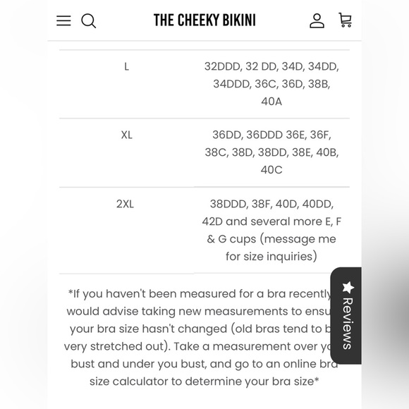 The Cheeky Bikini Dream Swim Top - Picture 5 of 5